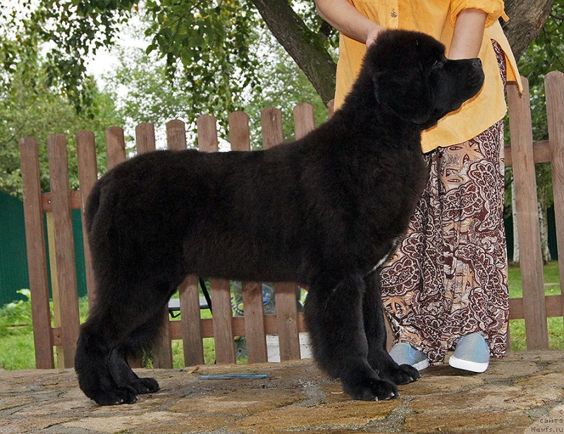 Фотография № 238261