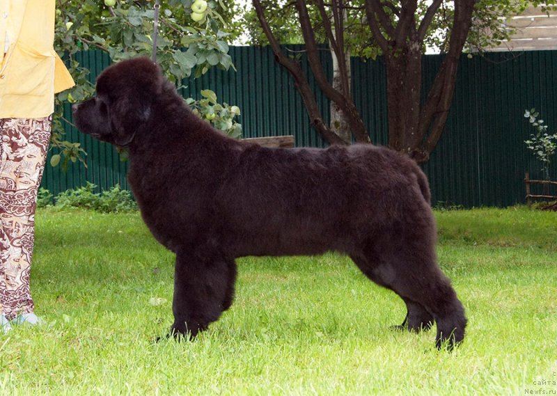 Фотография № 238263