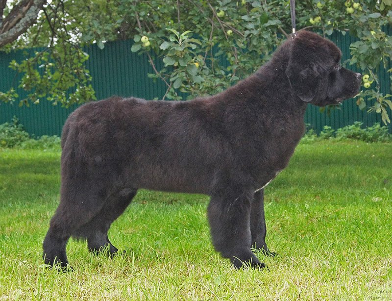 Фотография № 238264