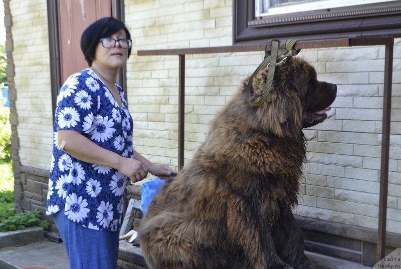 Фотография № 238274