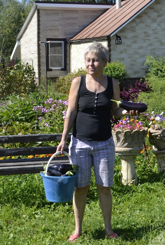 Фото: Татьяна Яковлева