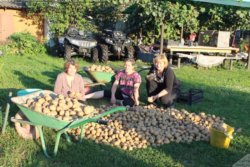 Фото: Елена Шмелева, Татьяна Журавлева, Елена Бажутина