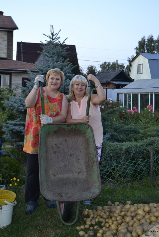 Фото: Елена Бажутина, Елена Кузина
