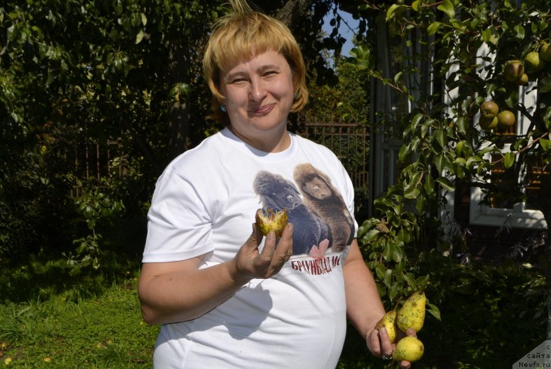 Фотография № 238281