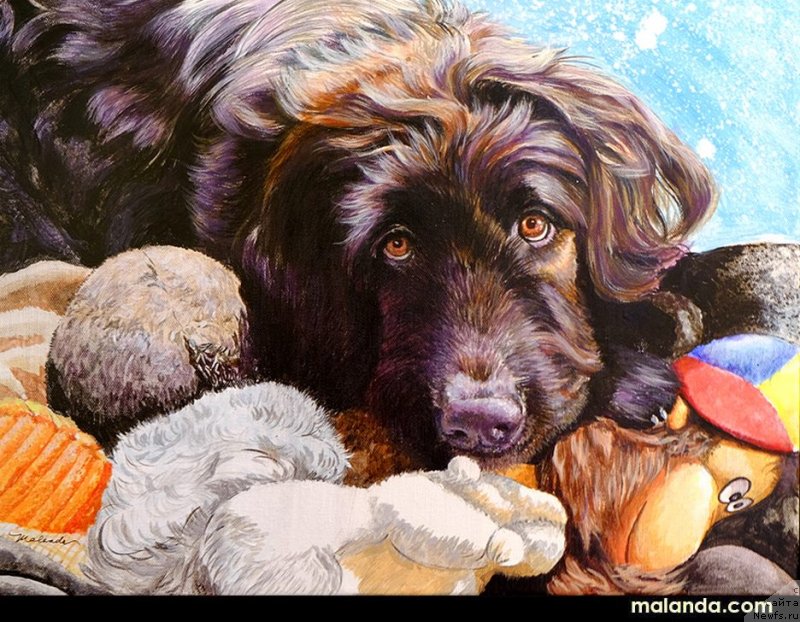 Фотография № 238290