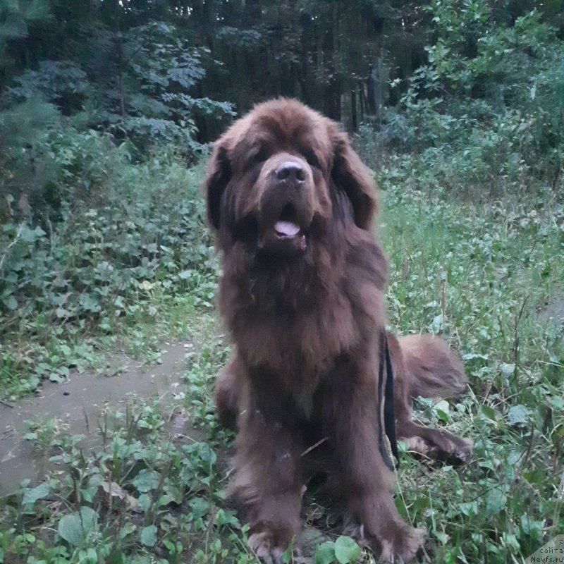 Фотография № 238324