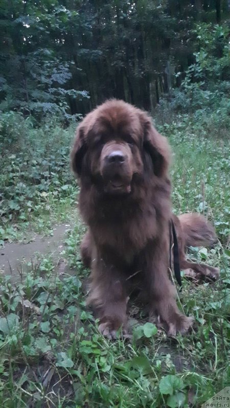 Фотография № 238325