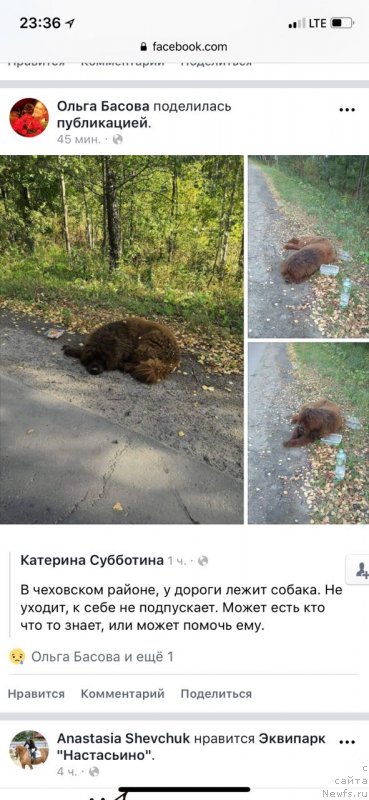 Фотография № 238327