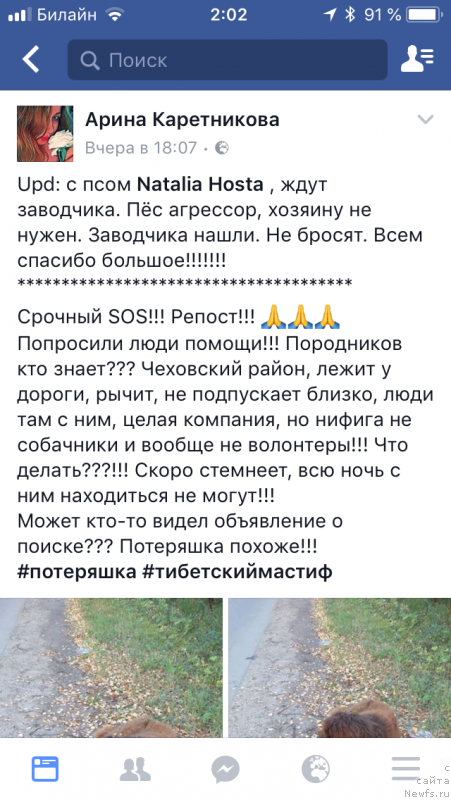 Фотография № 238328