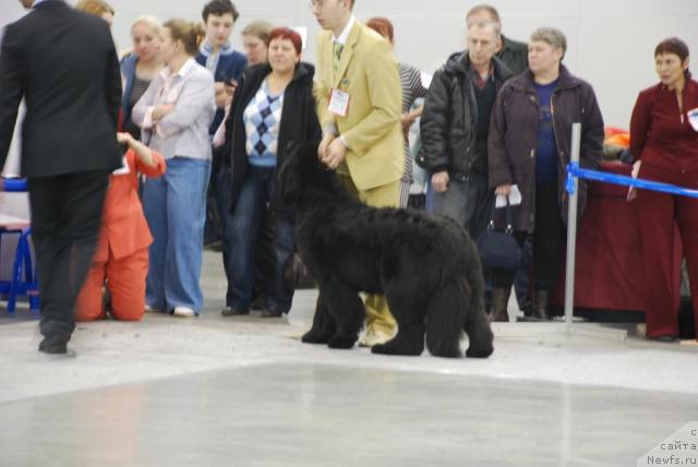 Фотография № 23835