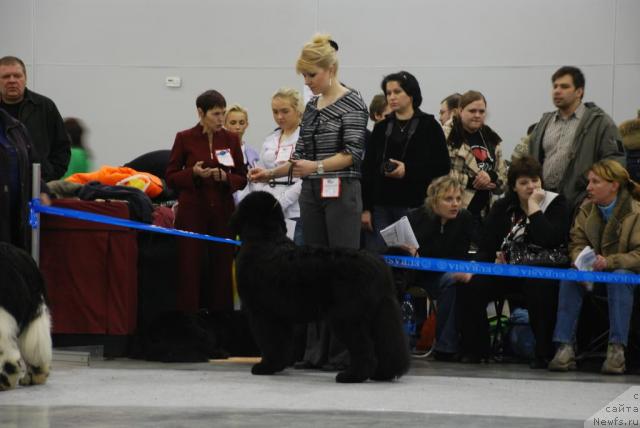 Фотография № 23836