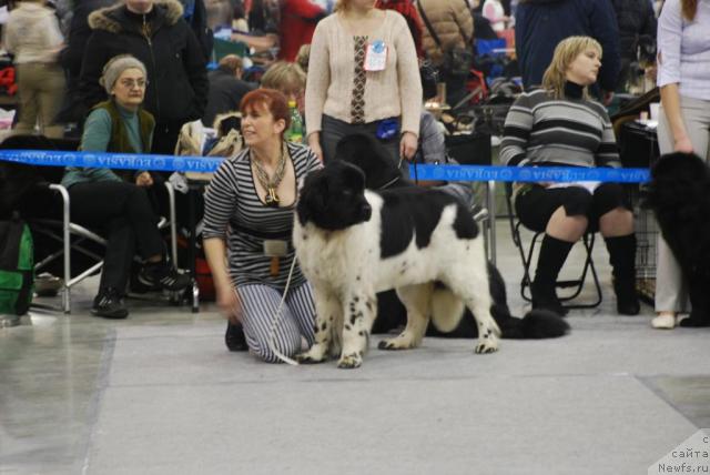 Фотография № 23839