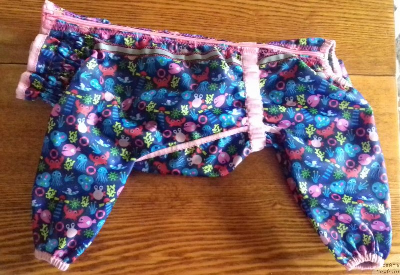 Фотография № 238390