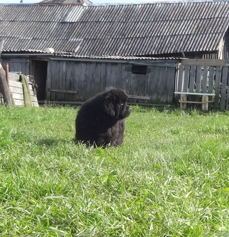 Фото: [d11542] сын