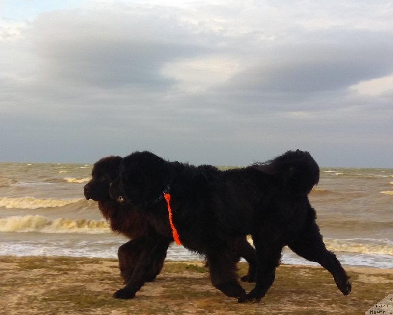 Фотография № 238402