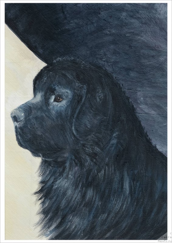 Фотография № 238405