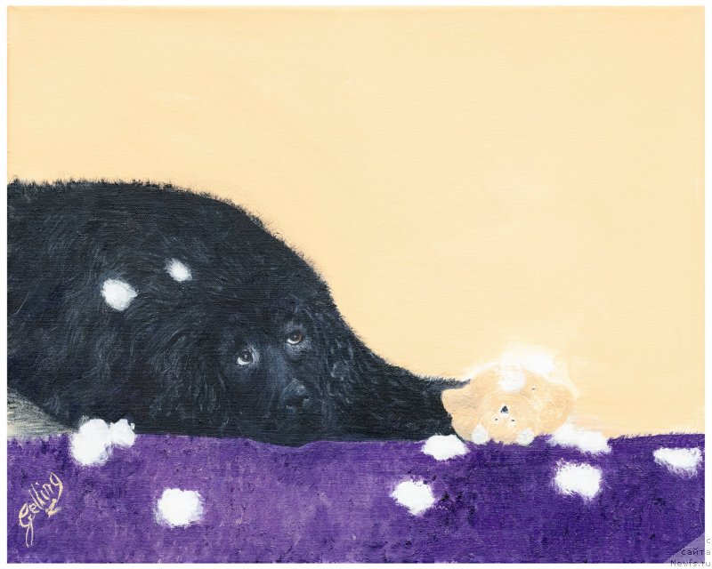 Фотография № 238406