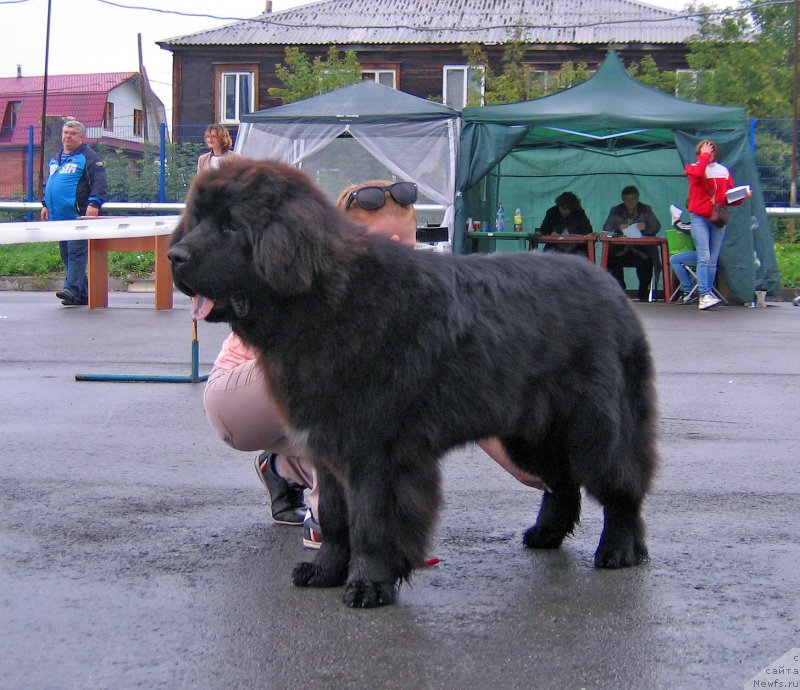 Фотография № 238408