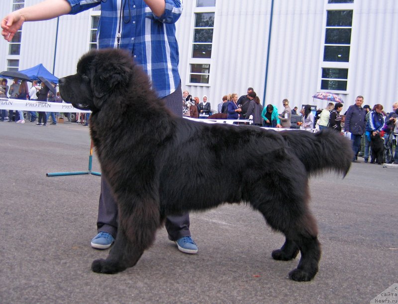 Фотография № 238410