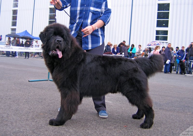 Фотография № 238411