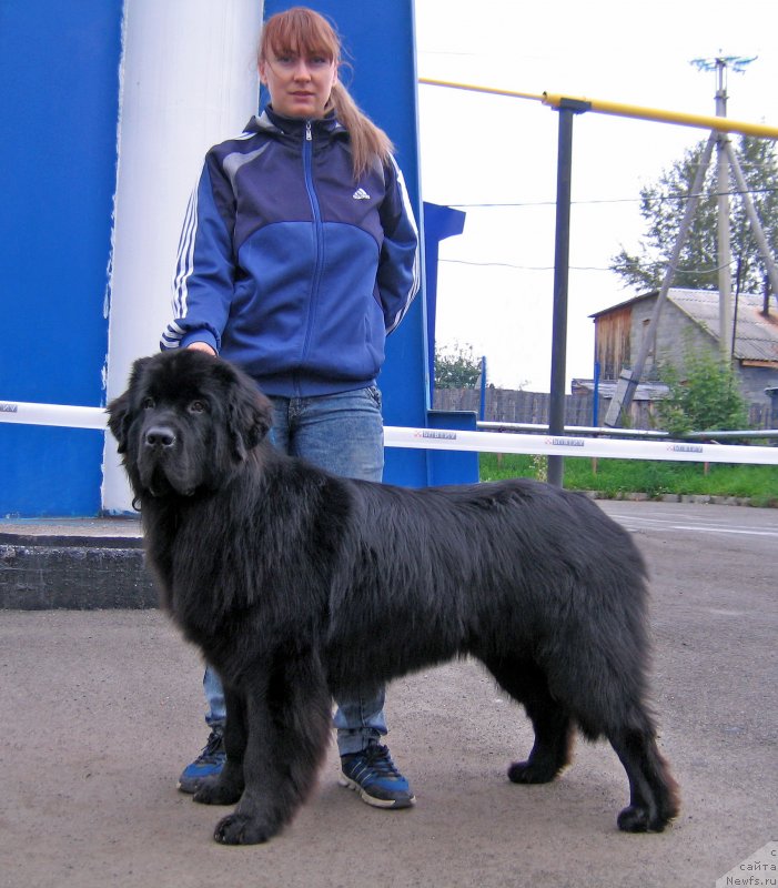 Фотография № 238412