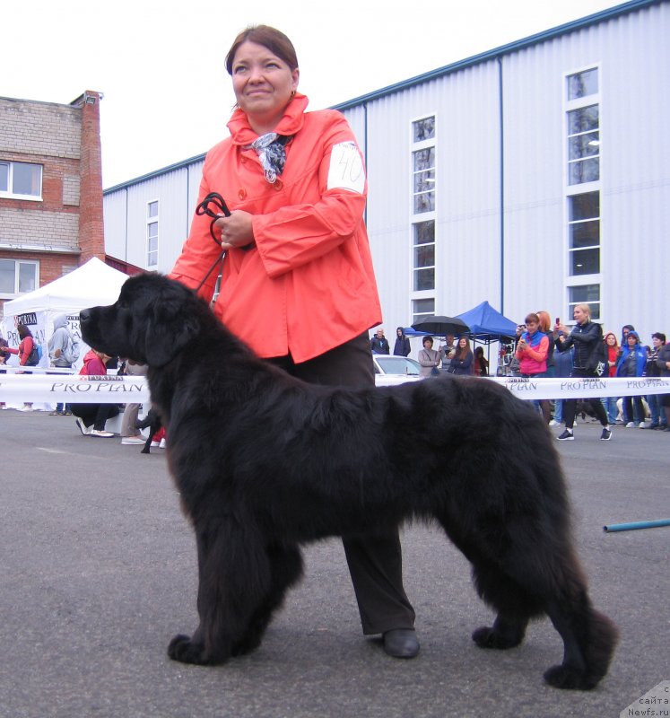 Фотография № 238414