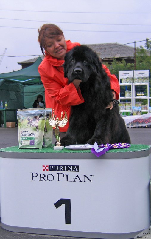 Фотография № 238415