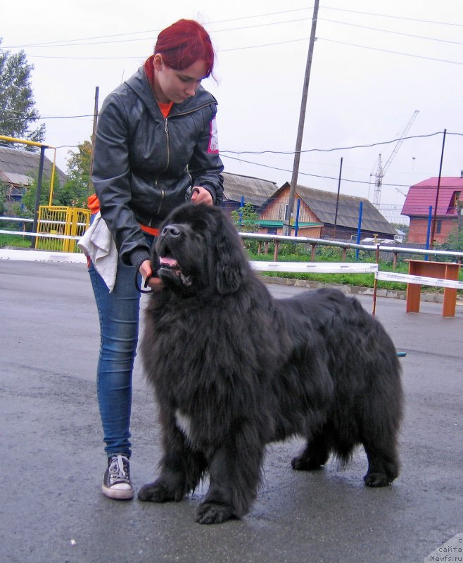 Фотография № 238416