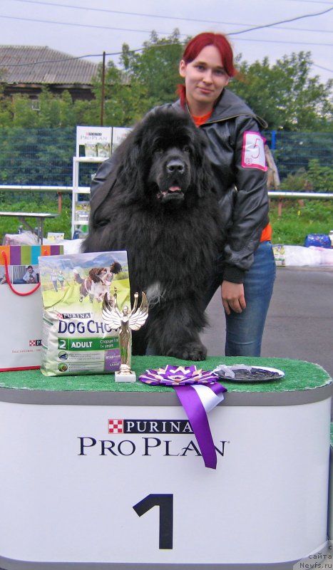 Фотография № 238417