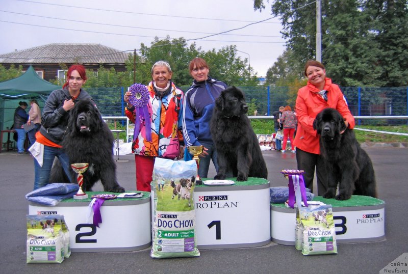 Фотография № 238418