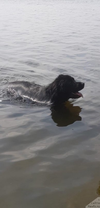 Фотография № 238449