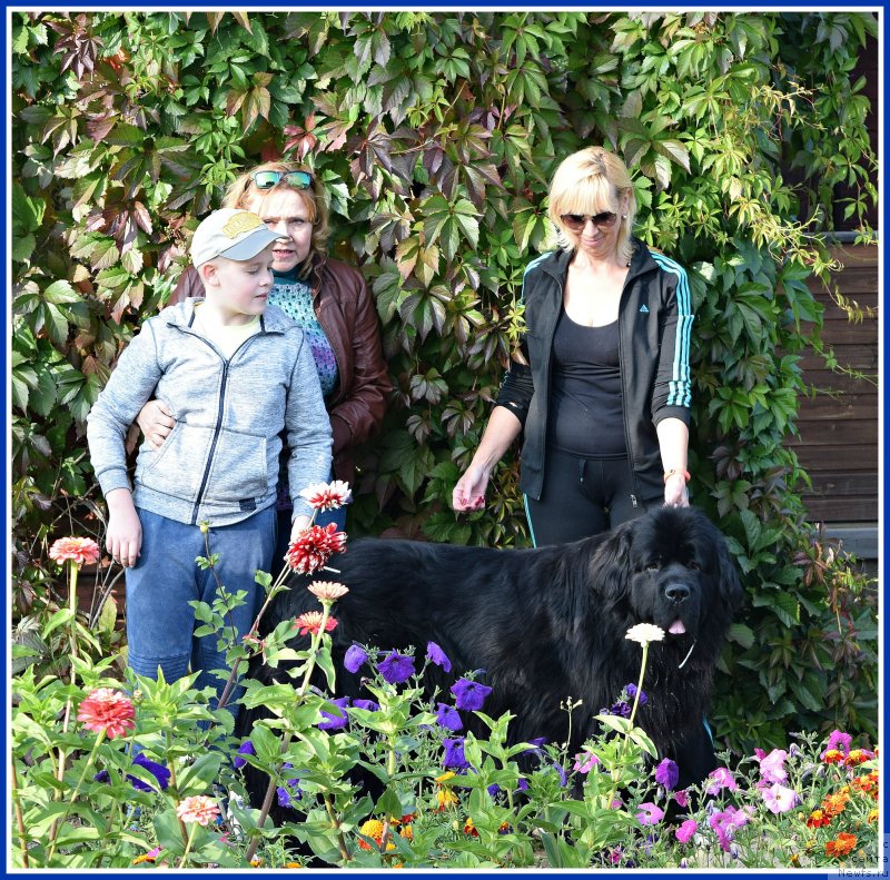 Фотография № 238453