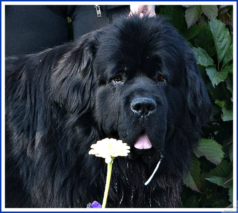 Фотография № 238459