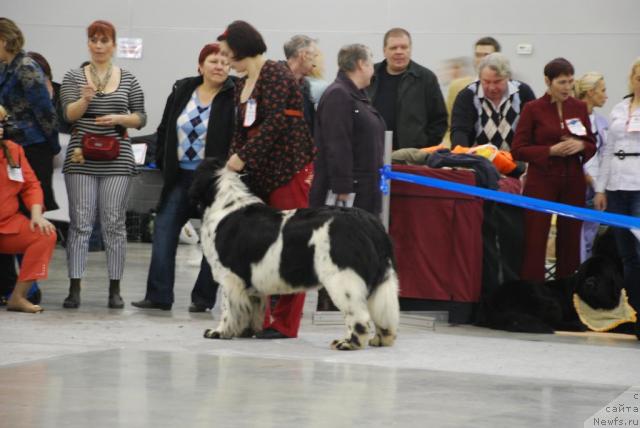 Фотография № 23847