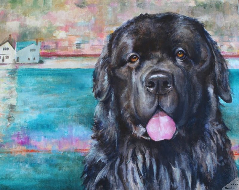 Фотография № 238473