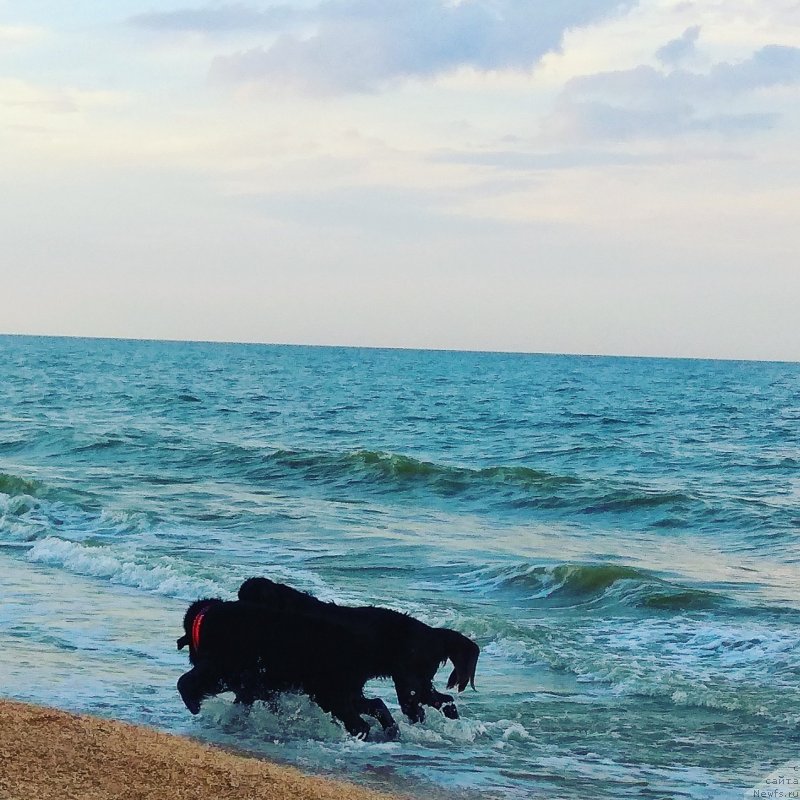 Фотография № 238493