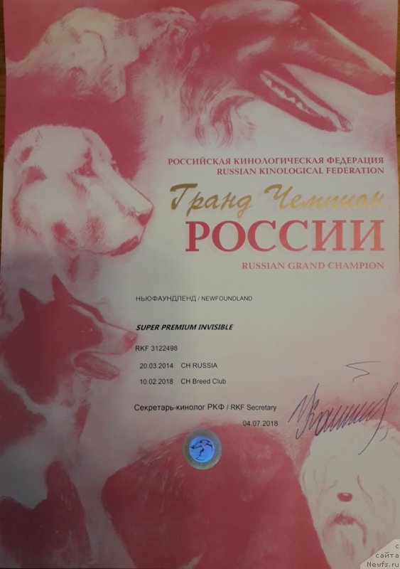 Фотография № 238530