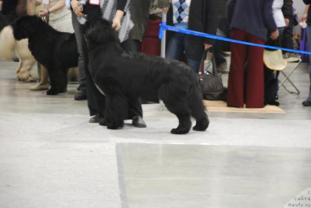 Фотография № 23856