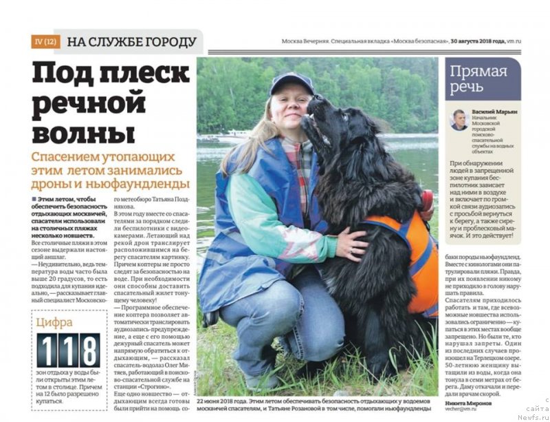 Фото: ньюфаундленд Ньюфорт Аманда Блум (Njufort Amanda Blum)