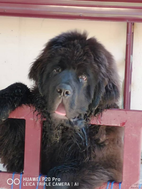 Фотография № 238563