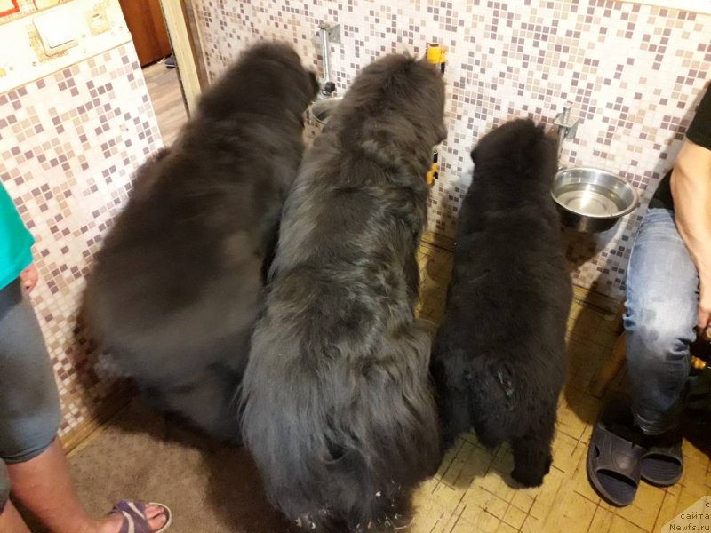 Фотография № 238565