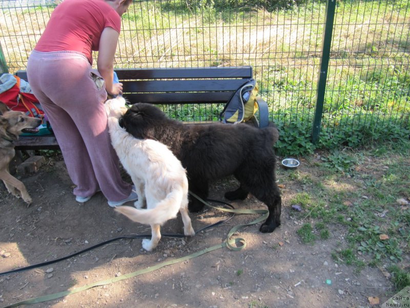 Фотография № 238567