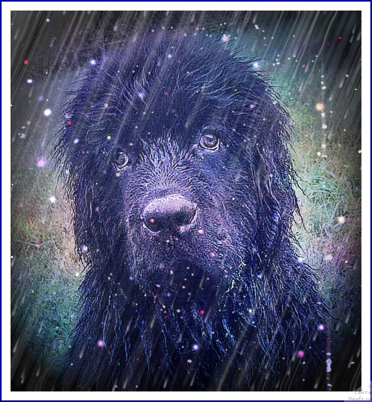 Фотография № 238577