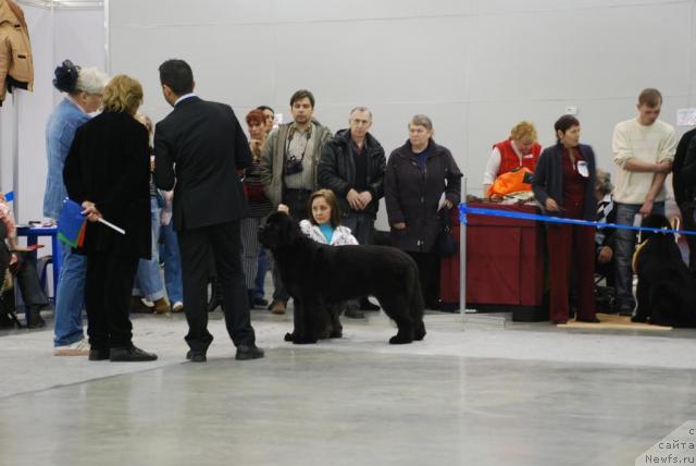 Фотография № 23858