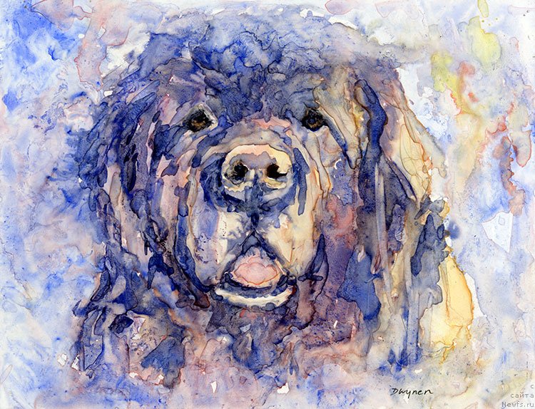 Фотография № 238591