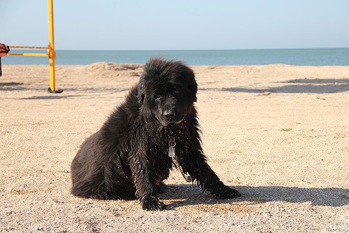 Фотография № 238597