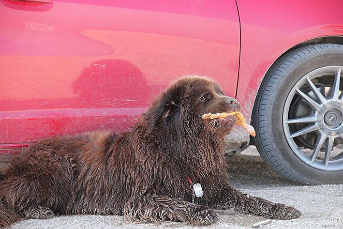 Фотография № 238598