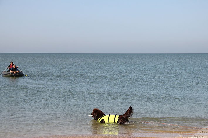 Фотография № 238606