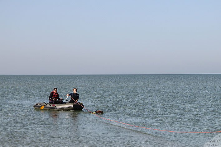 Фотография № 238607