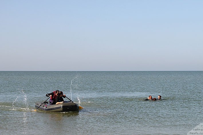 Фотография № 238608